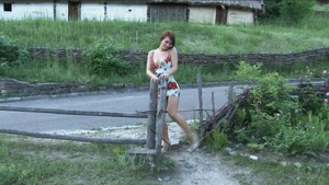 Alectia